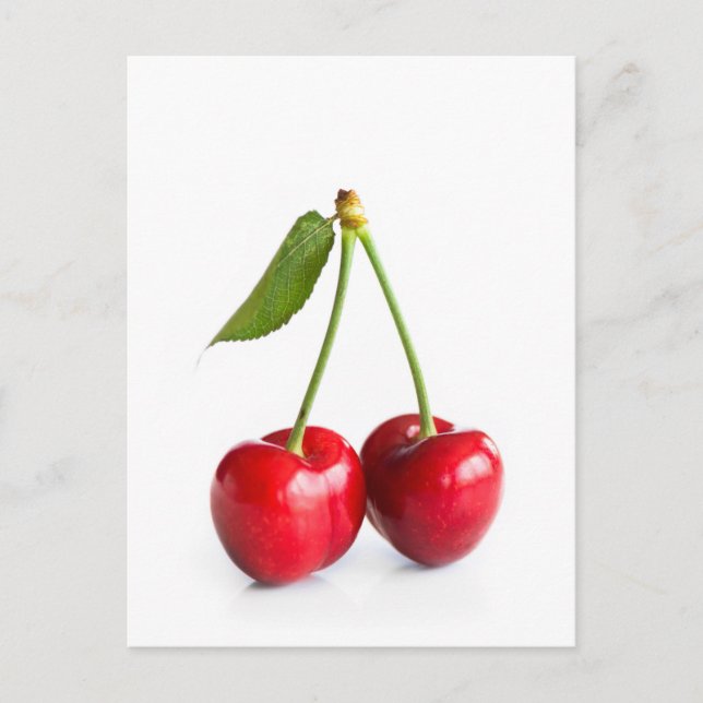 Sauerkirsche Postkarte (Vorderseite)