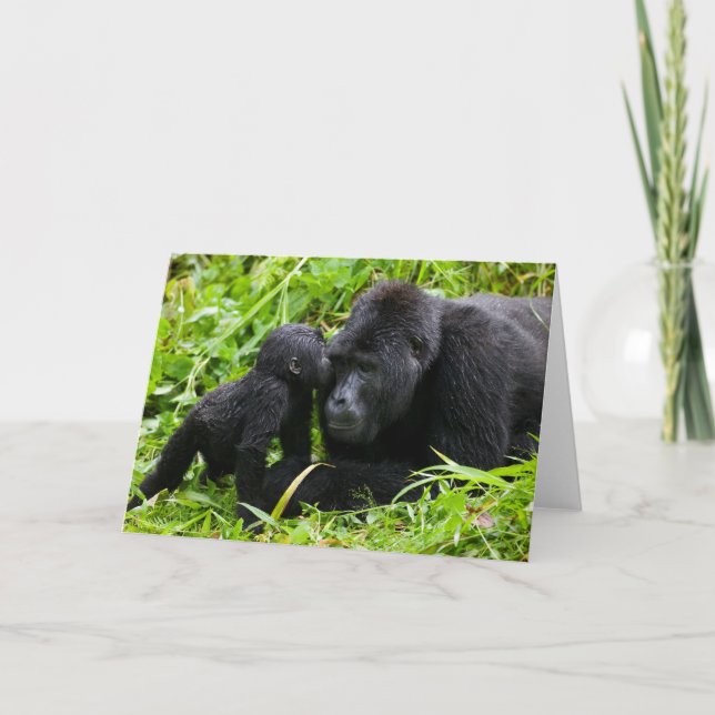 Säugling Gorilla Kisses Silverback Gorilla Karte (Vorderseite)