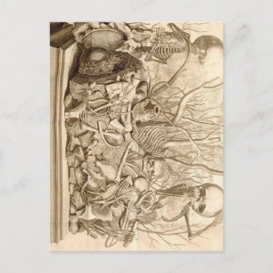 Säugling Scavengers Postkarte