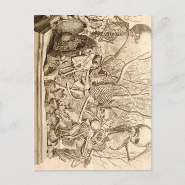 Säugling Scavengers Postkarte (Vorderseite)