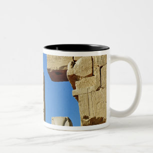 Säulen verziert mit stilisiertem Lotos Zweifarbige Tasse