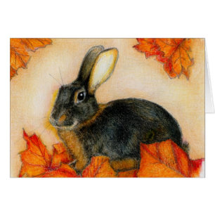 SÄURENUMMER UND SCHWARZES