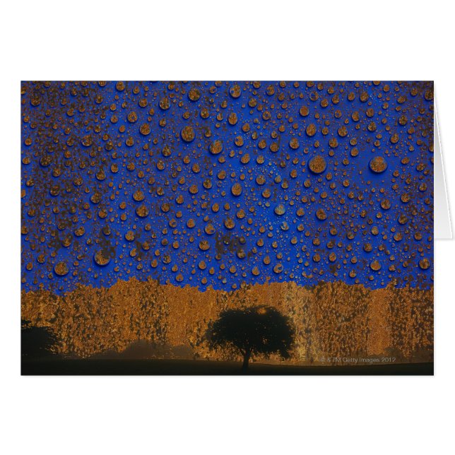 Saurer Regen u. Umweltverschmutzung (Vorderseite (Horizontal))