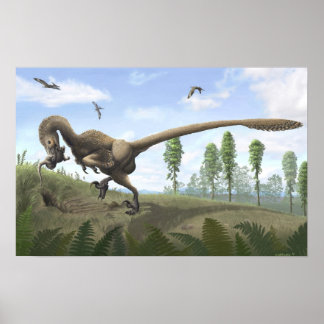 Saurornitholestes Print Poster