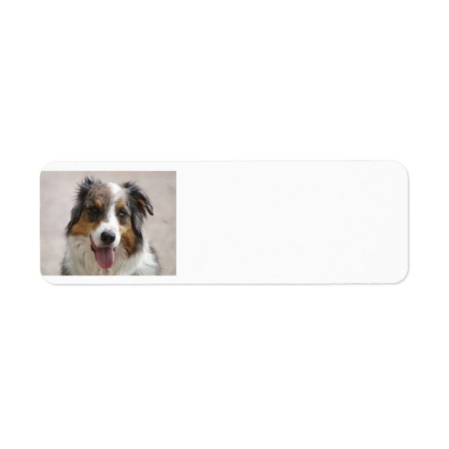 Saustralischer Hirtenhändler (Vorne)