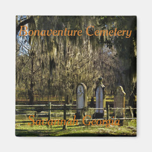 Savannah Bonaventure Magnet