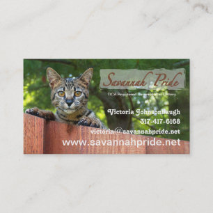 Savannah Cat Business Card Visitenkarte
