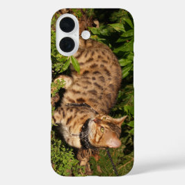Savannah Cat Case