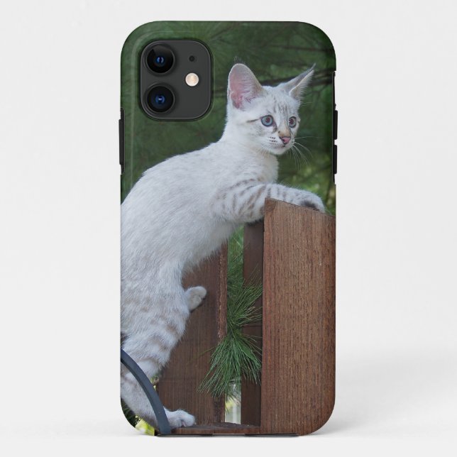 Savannah Cat iPhone 5 Case-Mate Barely Dort Hülle (Rückseite)