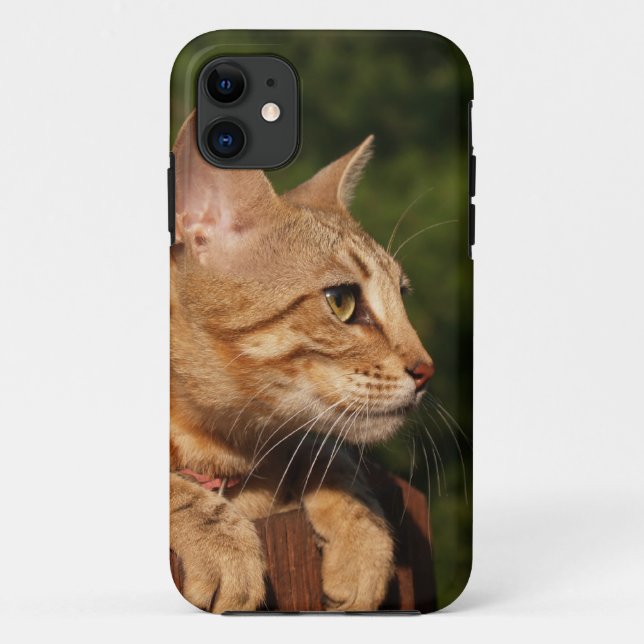 Savannah Cat iPhone 5 Case-Mate Barely Dort Hülle (Rückseite)