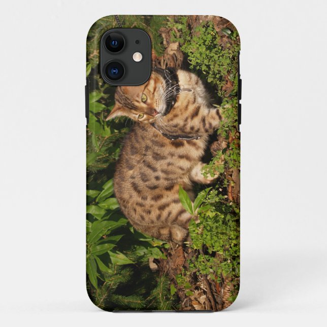 Savannah Cat iPhone 5 Case-Mate Barely Dort Hülle (Rückseite)