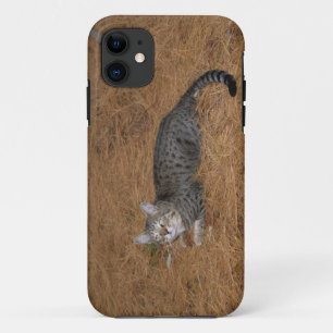 Savannah Cat iPhone 5 Case-Mate iPhone Hülle