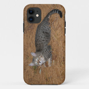 Savannah Cat iPhone 5 Case-Mate iPhone Hülle