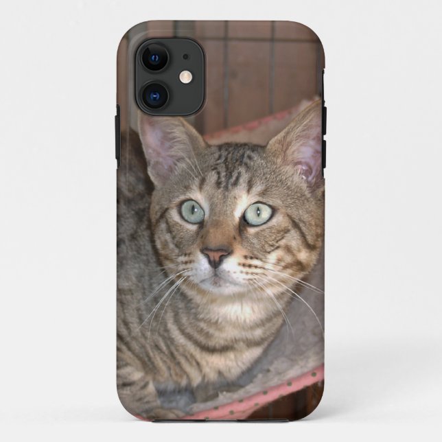 Savannah Cat iPhone 5 Case-Mate iPhone Hülle (Rückseite)