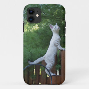 Savannah Cat iPhone 5 Custom Case-Mate-ID Case-Mate iPhone Hülle