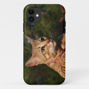 Savannah Cat iPhone 5 Custom Case-Mate-ID Case-Mate iPhone Hülle