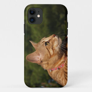 Savannah Cat iPhone 5 Custom Case-Mate-ID Case-Mate iPhone Hülle