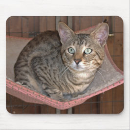Savannah Cat Mousepad