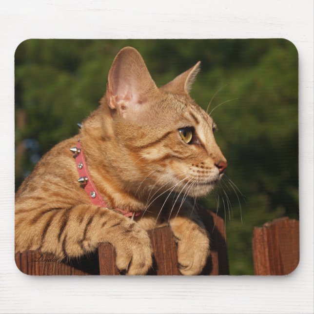 Savannah Cat Mousepad (Vorne)