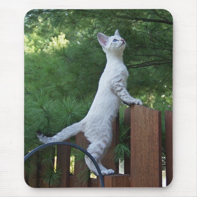 Savannah Cat Mousepad (Vorne)