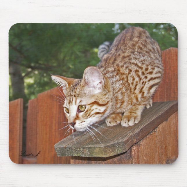 Savannah Cat Mousepad (Vorne)