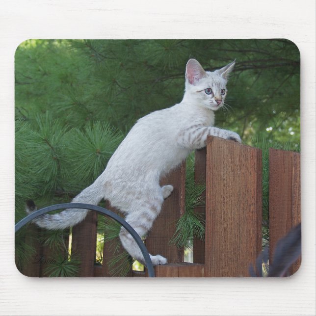 Savannah Cat Mousepad (Vorne)