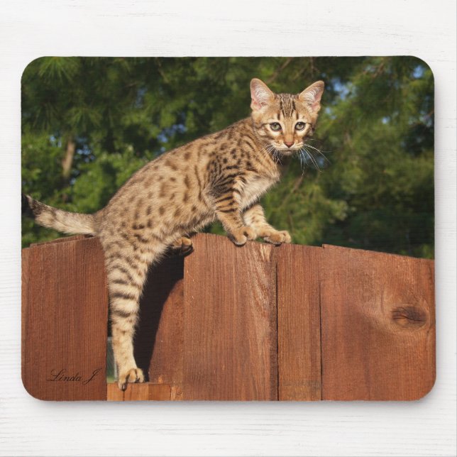 Savannah Cat Mousepad (Vorne)