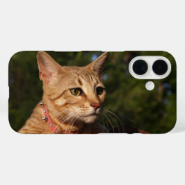 Savannah Cat Phone Case
