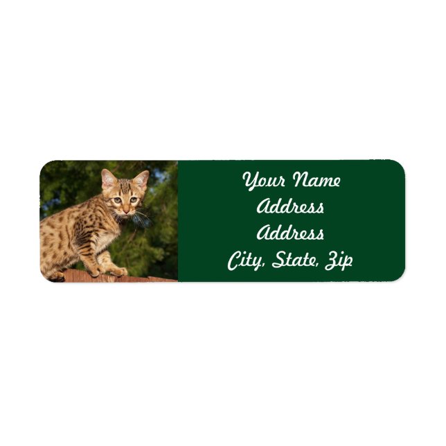 Savannah Cat Rücksendeadresse Sticker (Vorne)
