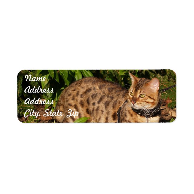 Savannah Cat Rücksendeadresse Sticker (Vorne)