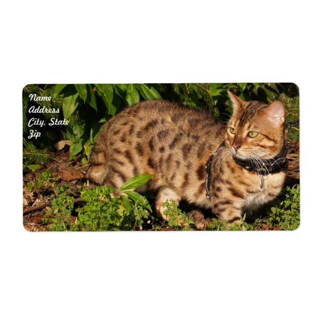 Savannah Cat Shipping Label (Vorne)