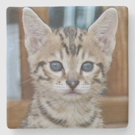Savannah Cat Square Untersetzer