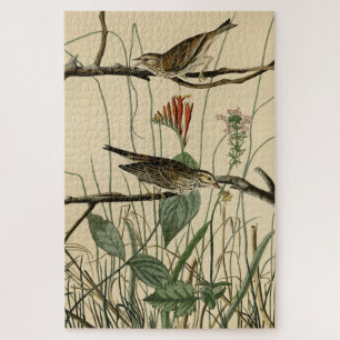 Savannah Finch (Sparrow) Audubon Birds of America Puzzle