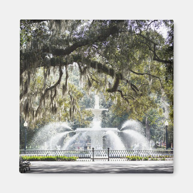 Savannah Forsyth Fountain Magnet (Vorne)