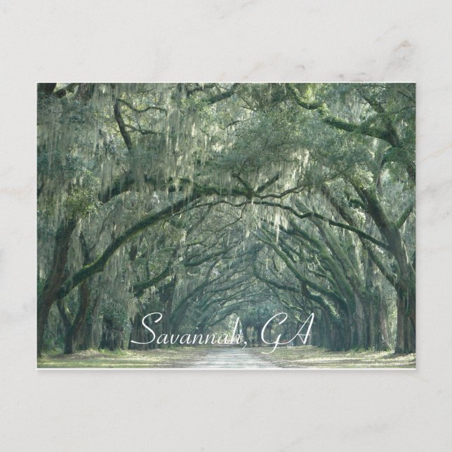 Savannah, GA Postcard Postkarte (Vorderseite)