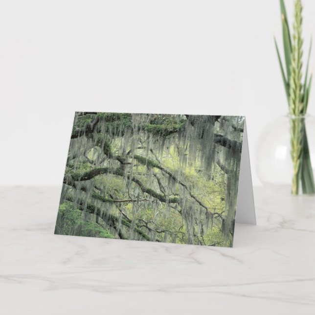 Savannah, Georgia, Live-Eiche mit Karte (Vorderseite)