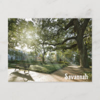 Savannah Georgia Southern Live Oak Tree Park