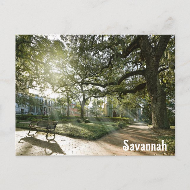Savannah Georgia Southern Live Oak Tree Park Postkarte (Vorderseite)