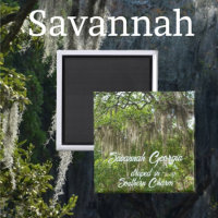Savannah Georgia Spanische Moos dran Live Oaks