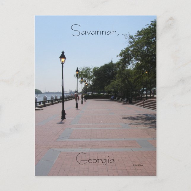 Savannah, Georgien Postkarte (Vorderseite)
