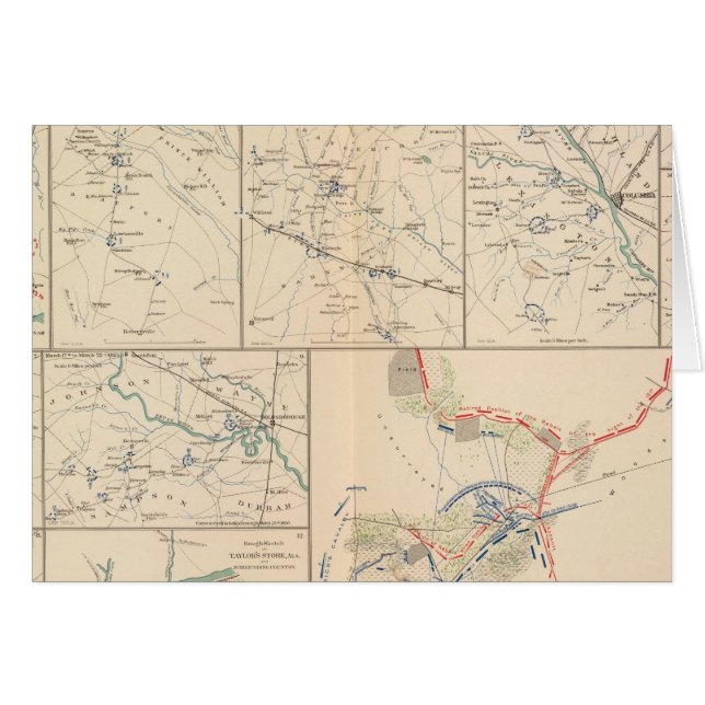 Savannah Goldsborough-Wahlkarten (Vorderseite (Horizontal))