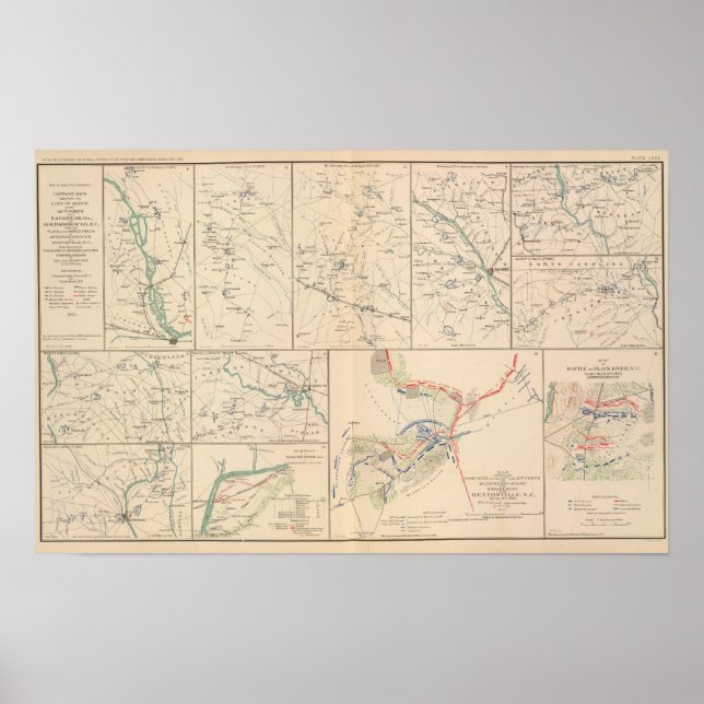 Savannah Goldsborough-Wahlkarten Poster (Vorne)