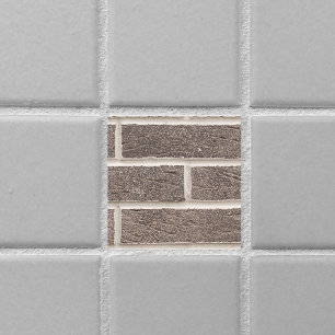 Savannah Gray Brick und White Mortar Fliese