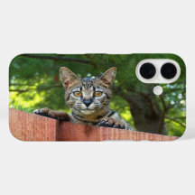 Savannah-Katzen-Handyhülle