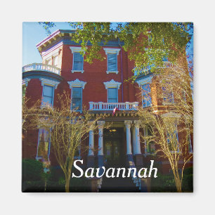 Savannah-Magnet 6 Magnet