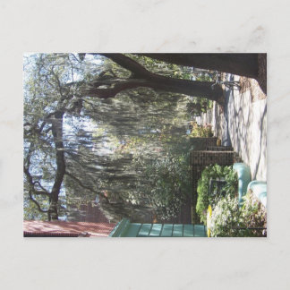 Savannah Moss Postkarte