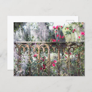 Savannah Post Card Laurel Grove Postkarte