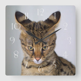 Savannah ‎ quadratische wanduhr