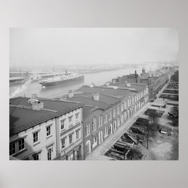 Savannah River Poster (Vorne)