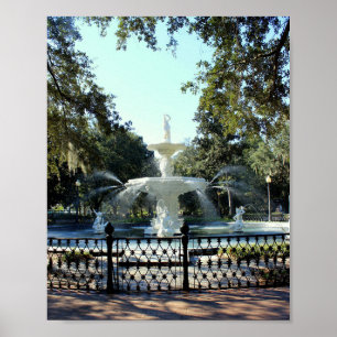Savannah Serie: Springbrunnen Poster